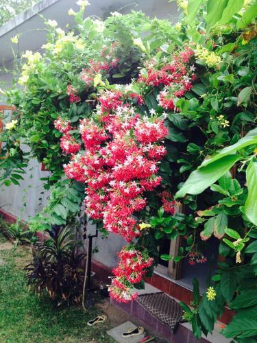 Manik Home Stay