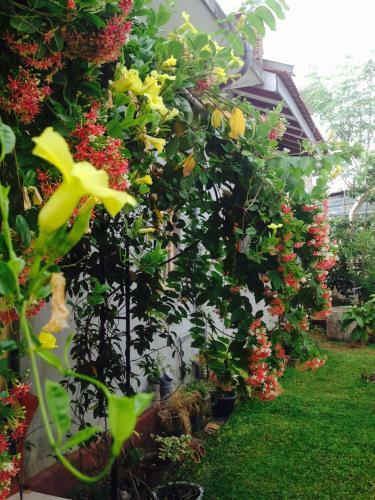 Manik Home Stay