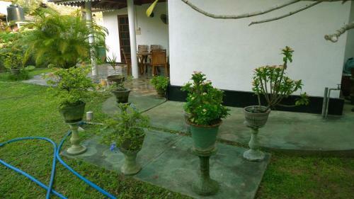 Hostal L.l.p. Guest House