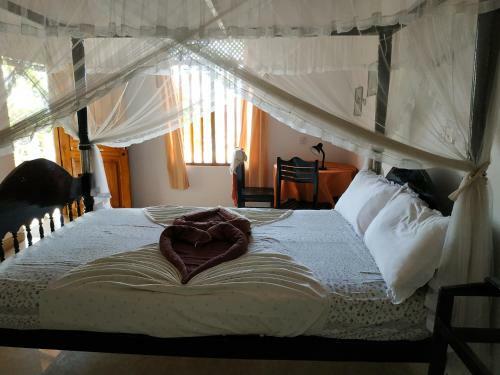 Hostal Ibis Guesthouse & Bungalows
