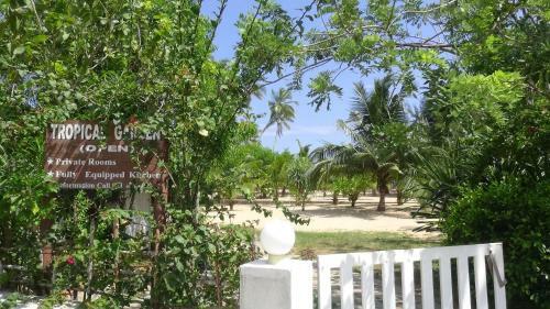 Tropical Garden