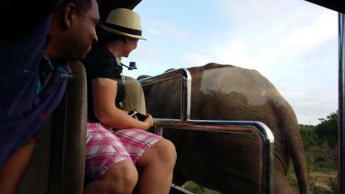 Hostal Elephants Fence Guest & Safari Services