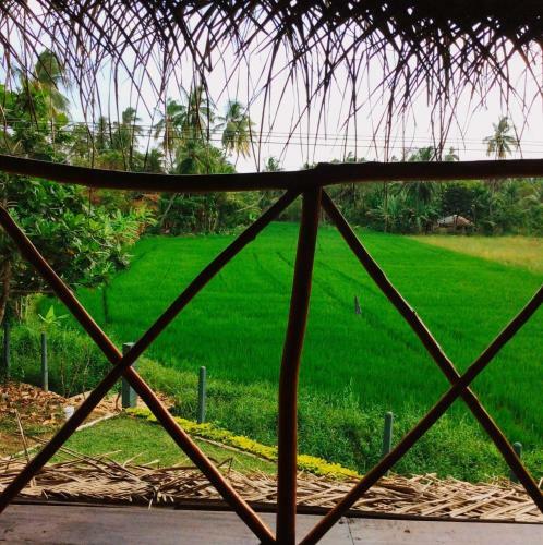 The Green View Yala