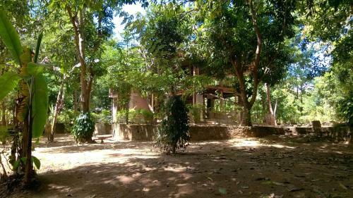 Jungle House