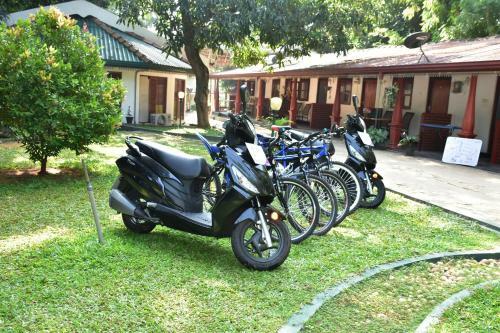 Hotel Happy Elephant Resort Udawalawe