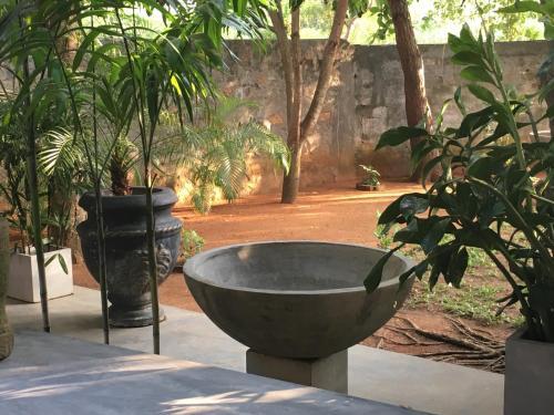 Bed & Breakfast My Village