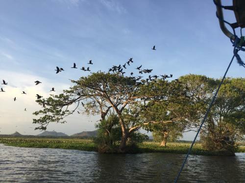 Bed & Breakfast Yala Golden Park