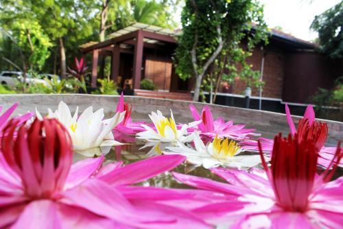 Hotel Neem Villas