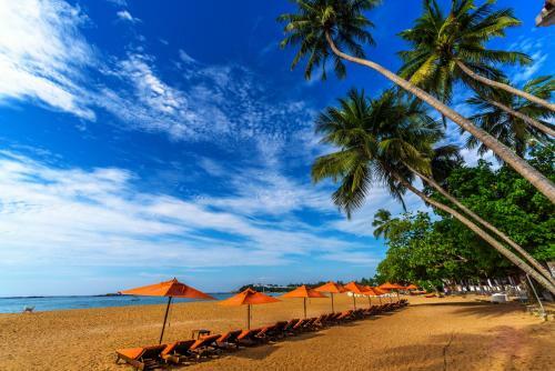 Hotel Calamander Unawatuna Beach