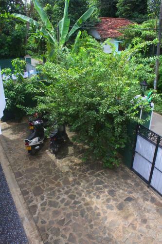 Hostal Tiny Royal Palace