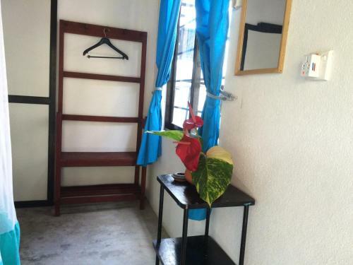 Hotel Paradise Garden
