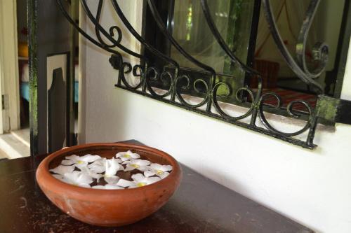 Hotel Paradise Garden