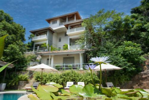 Bed & Breakfast The Horizon Hill Top Villa
