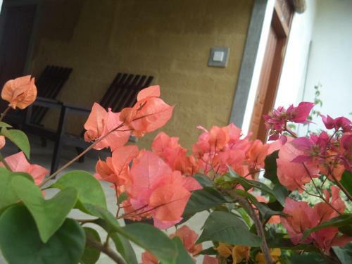Bed & Breakfast My Place Guest House