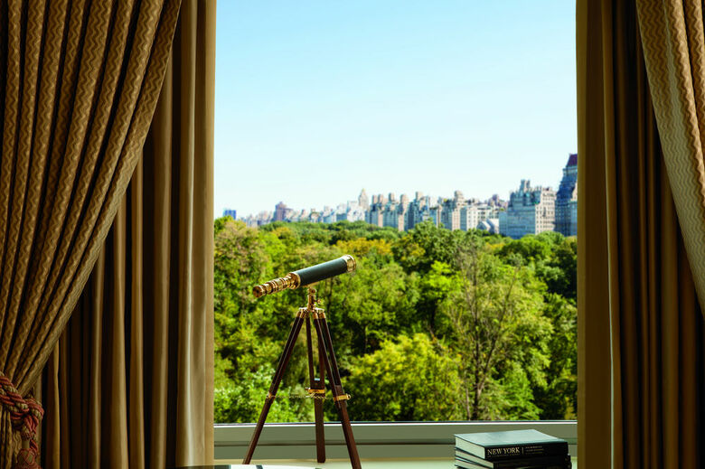 Hotel Ritz-carlton New York Central Park