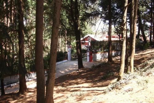 Bed & Breakfast The Red House