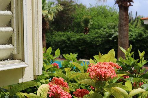 Bed & Breakfast Landhuis Bona Vista