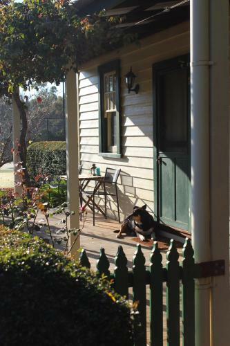 Bed & Breakfast Elinike Guest Cottages
