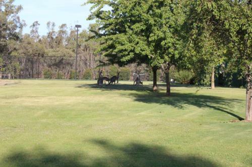 Bed & Breakfast Elinike Guest Cottages
