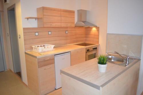 Apartamento Business Centre Slatina
