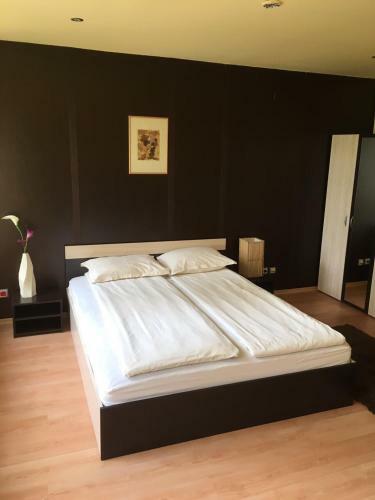 Apartamento Business Centre Slatina