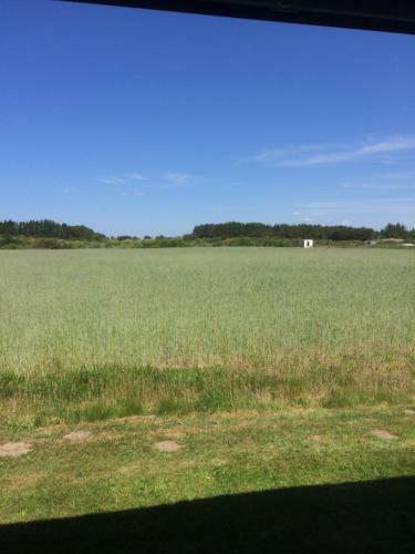 Albergue Blokhus-hune Vandrerhjem