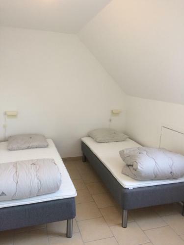 Albergue Blokhus-hune Vandrerhjem
