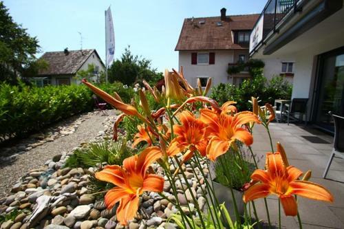 Apartamento Casa Fortuna Bodensee