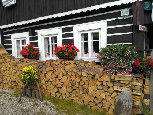 Hostal Penzion U Pir�ta
