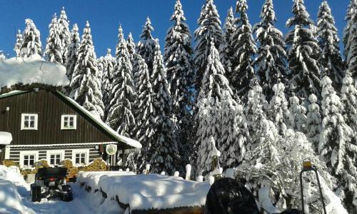 Hostal Penzion U Pir�ta