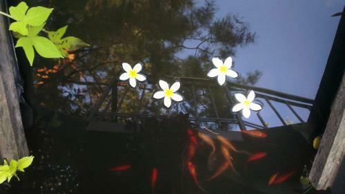 Hostal Silver Park Vend�gh�z