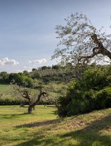 Apartamento Residenza Il Falchetto