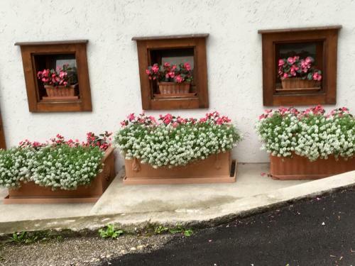 Hotel Albergo Meuble Tarandan