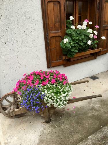 Hotel Albergo Meuble Tarandan