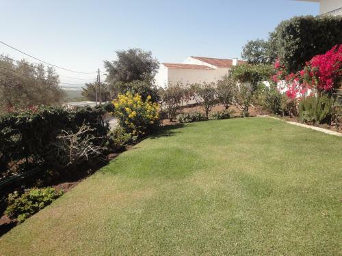 Orchidea Terrace