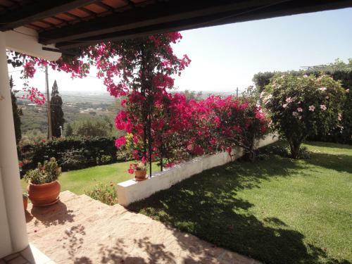 Orchidea Terrace