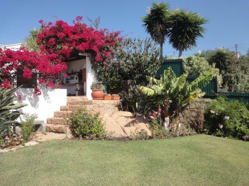 Orchidea Terrace