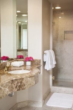 The Rittenhouse Hotel (deluxe)