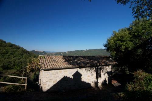 Campo Della Fiora