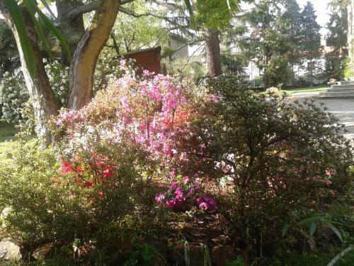 Bed & Breakfast Invilla Bnb