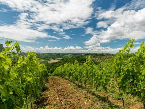Agroturismo Il Torriano