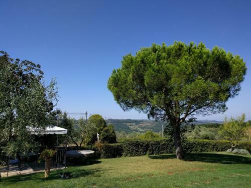 Agroturismo Il Torriano