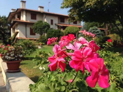 B&B Villafiorita