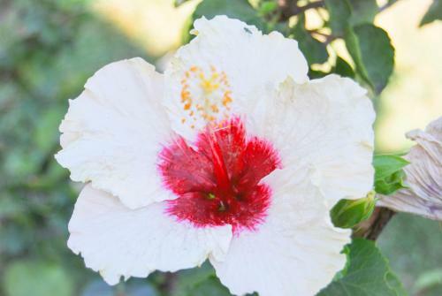 Apartamento Cap Soleil