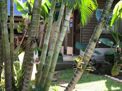 Apartamento La Guadalupe