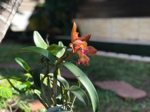 Apartamento La Guadalupe