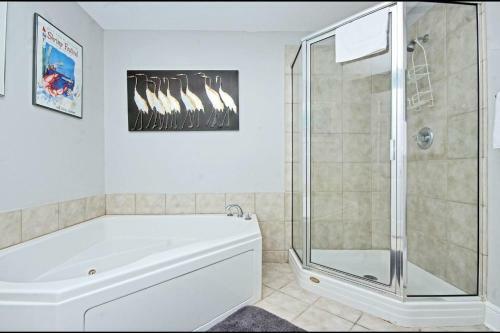 Apartamento San Carlos 1404