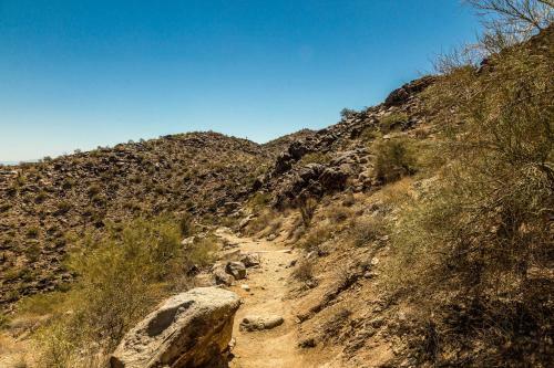 Pinnacle Peak