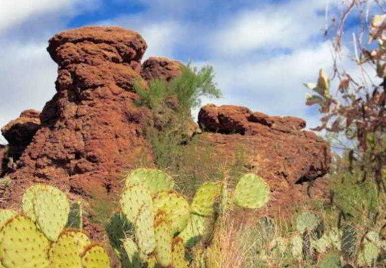 Hotel Residence Inn Scottsdale Paradise Valley