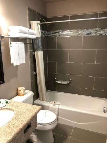 Hotel Alamo Inn And Suites - Convention Center